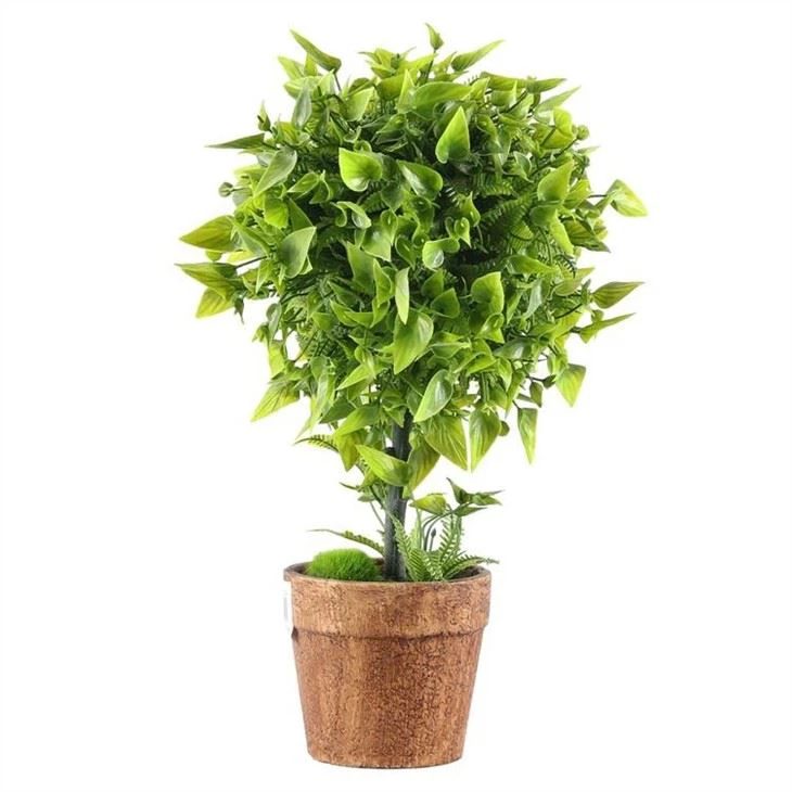 Artificial Simple Plants Bonsai